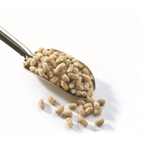 توت بري مجفف 500 جرام